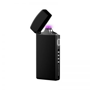 Зажигалка Xiaomi Beebest Polar Bee Arc Charging Lighter